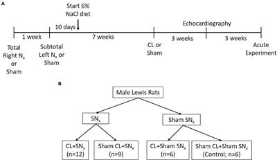 Chronic, Combined Cardiac and Renal Dysfunction Exacerbates Renal Venous Pressure-Induced Suppression of Renal Function in Rats